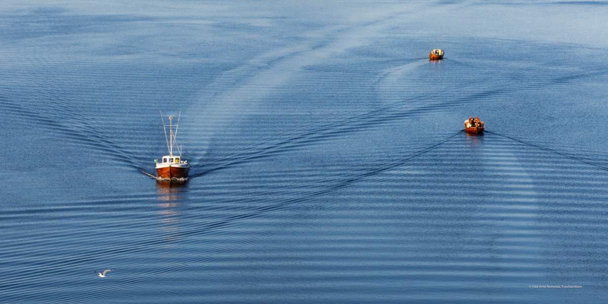 Flatt hav av Odd Arne Nomedal