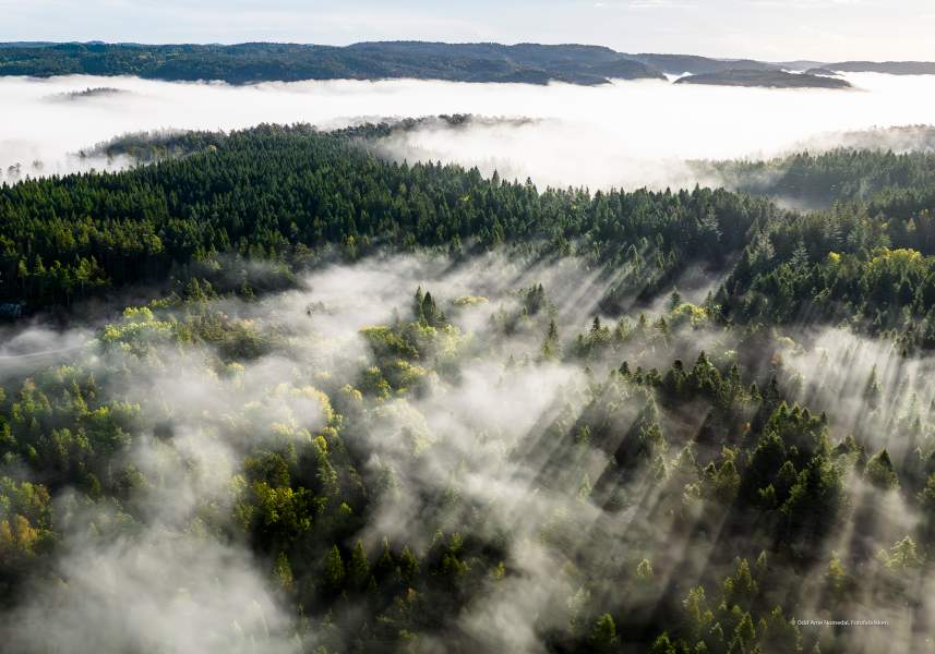 Tåkehav av Odd Arne Nomedal