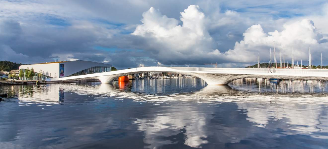 Adolph Tidemands bro av Odd Arne Nomedal